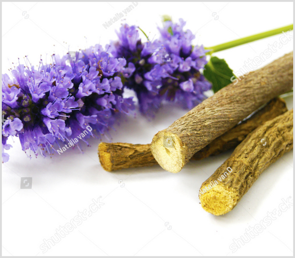 Licorice root and herb